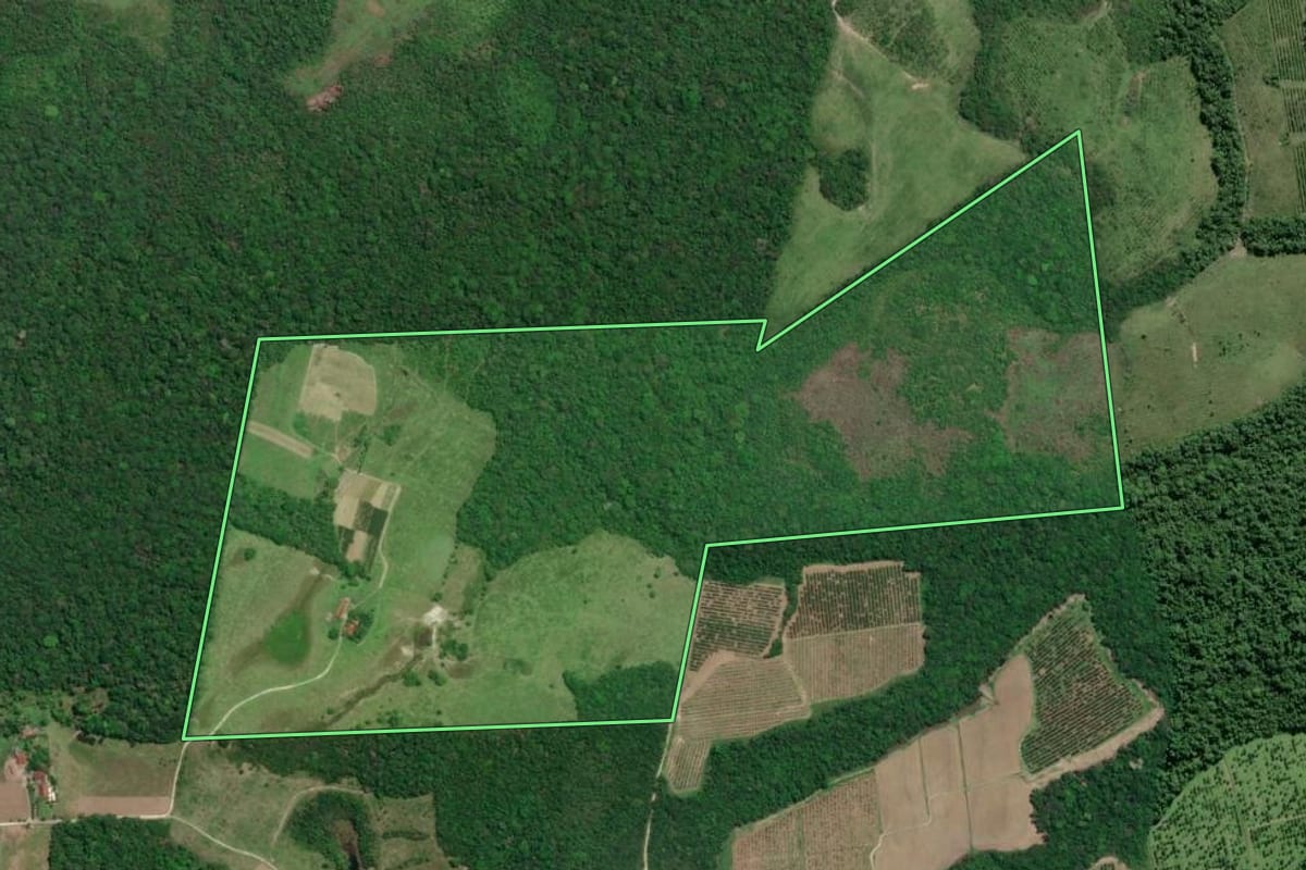 Imagem de satélite do imóvel rural em Pariquera-Açu (SP), com o contorno declarado no CAR desenhado por cima.