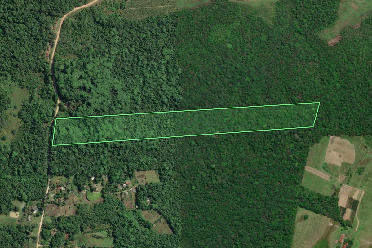 Imagem de satélite do imóvel rural em Pariquera-Açu (SP), com o contorno declarado no CAR desenhado por cima.