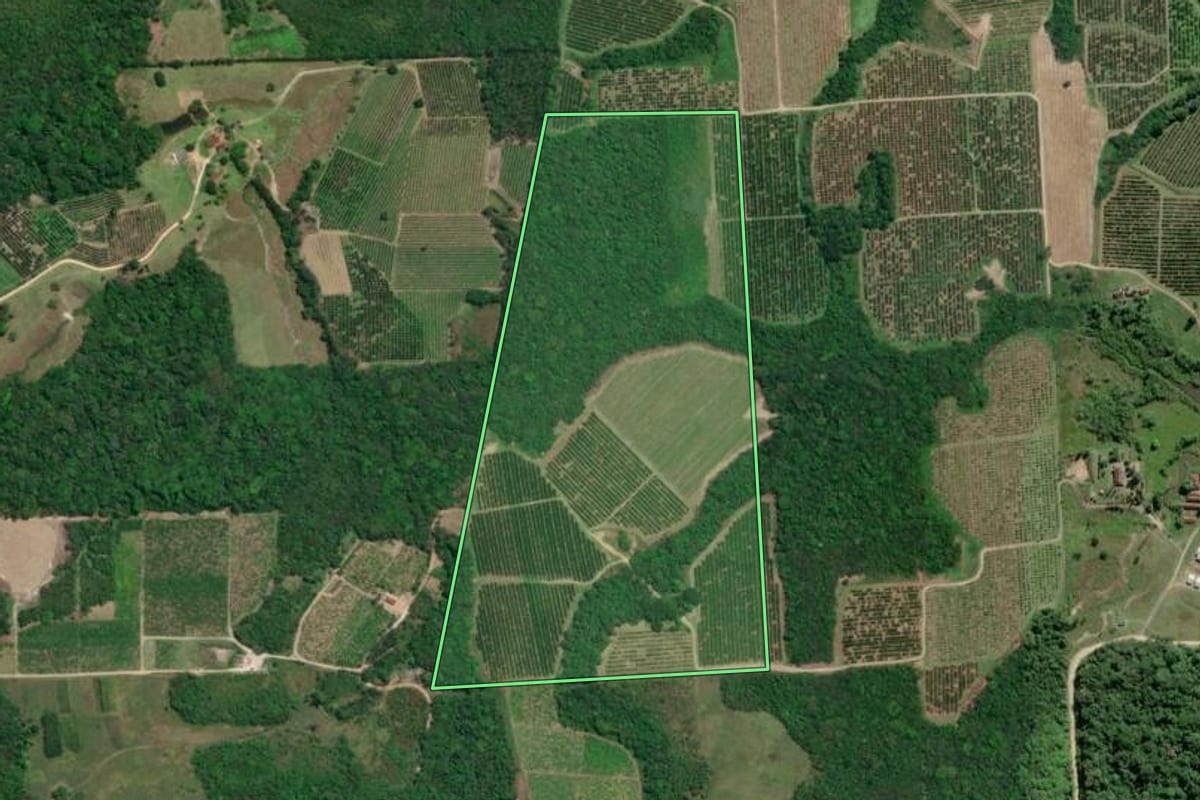 Imagem de satélite do imóvel rural em Pariquera-Açu (SP), com o contorno declarado no CAR desenhado por cima.