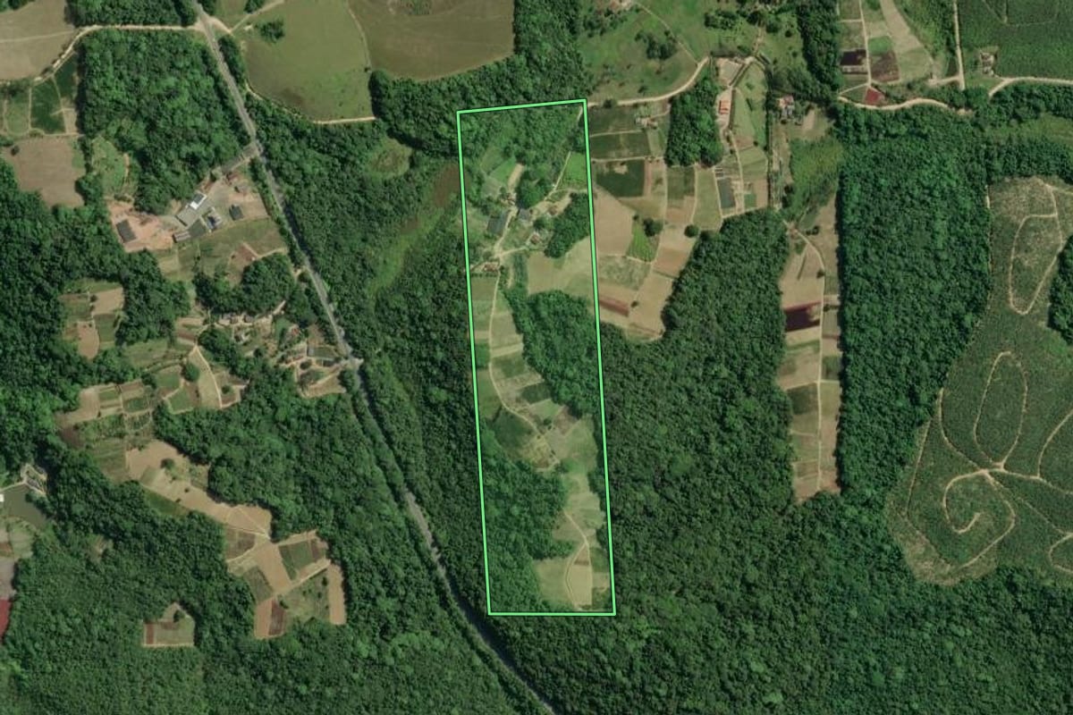 Imagem de satélite do imóvel rural em Pariquera-Açu (SP), com o contorno declarado no CAR desenhado por cima.
