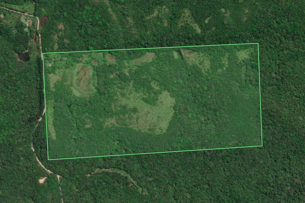 Imagem de satélite do imóvel rural em Pariquera-Açu (SP), com o contorno declarado no CAR desenhado por cima.