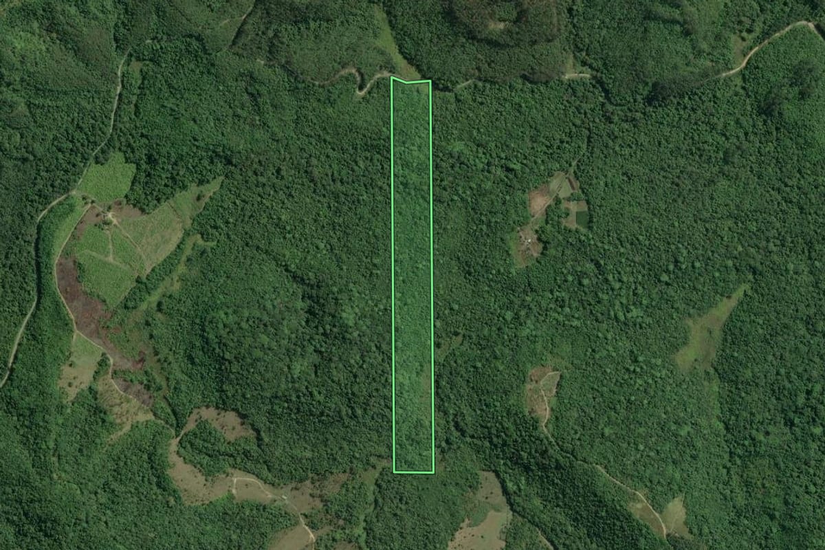 Imagem de satélite do imóvel rural em Pariquera-Açu (SP), com o contorno declarado no CAR desenhado por cima.