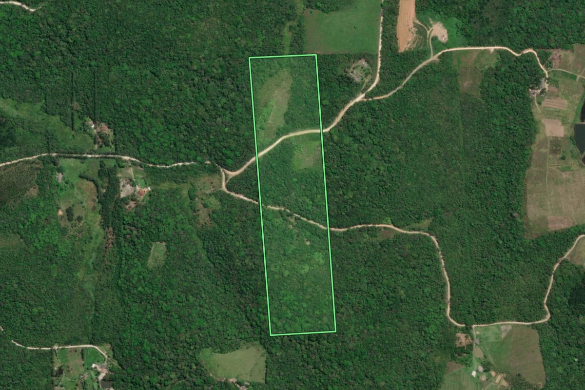 Imagem de satélite do imóvel rural em Pariquera-Açu (SP), com o contorno declarado no CAR desenhado por cima.
