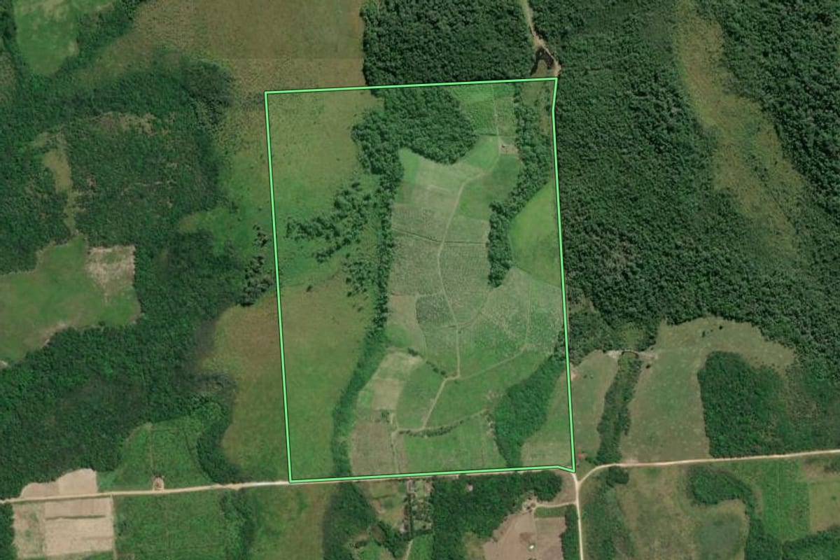 Imagem de satélite do imóvel rural em Pariquera-Açu (SP), com o contorno declarado no CAR desenhado por cima.
