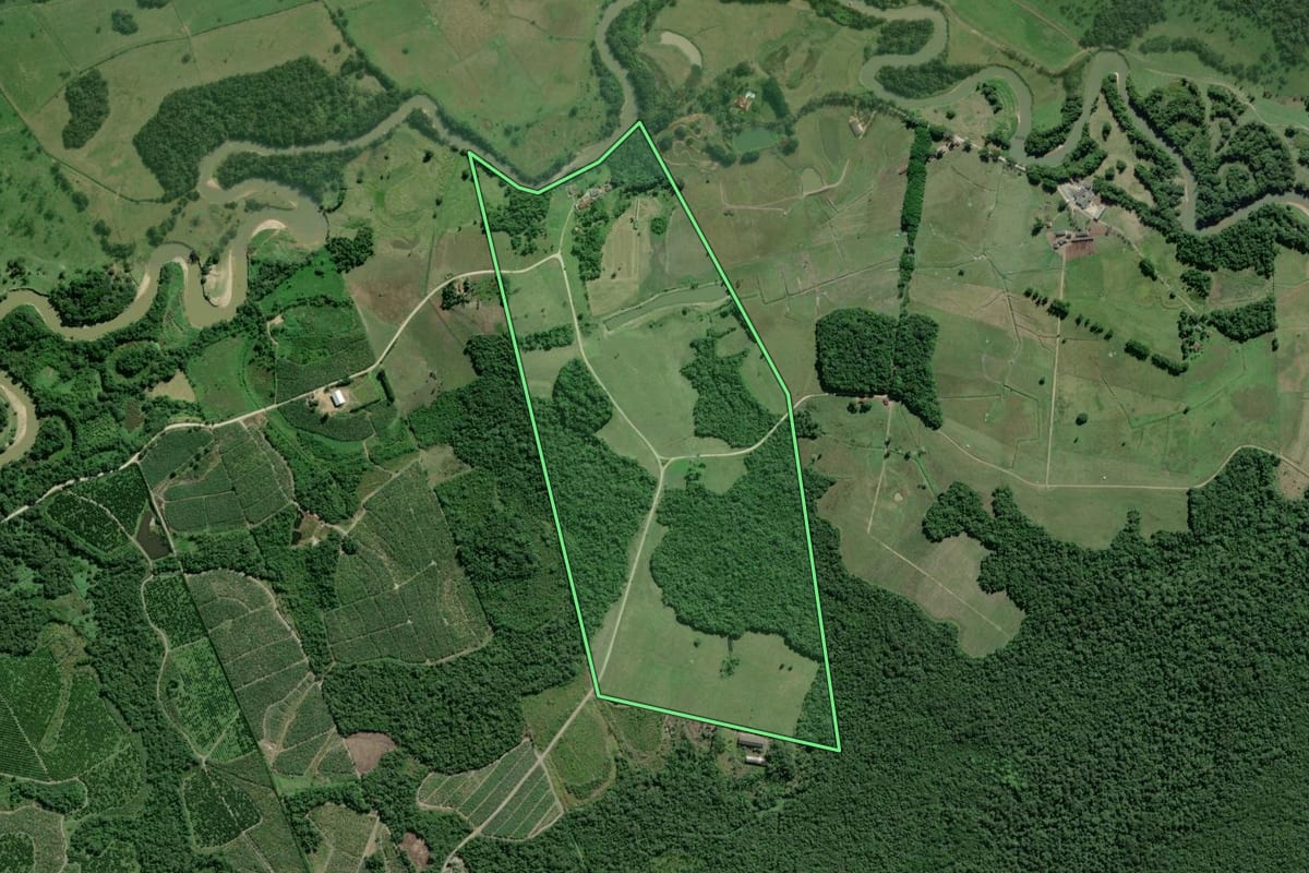 Imagem de satélite do imóvel rural em Pariquera-Açu (SP), com o contorno declarado no CAR desenhado por cima.