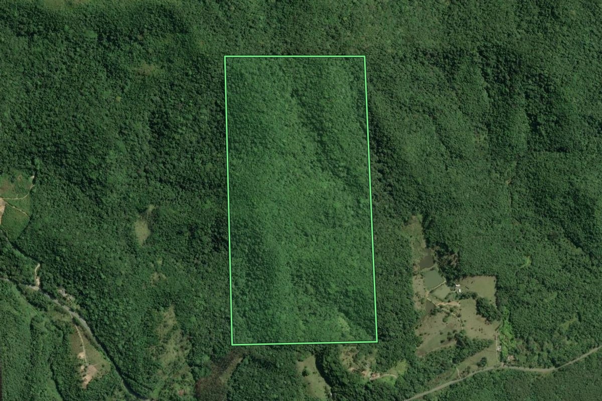 Imagem de satélite do imóvel rural em Pariquera-Açu (SP), com o contorno declarado no CAR desenhado por cima.