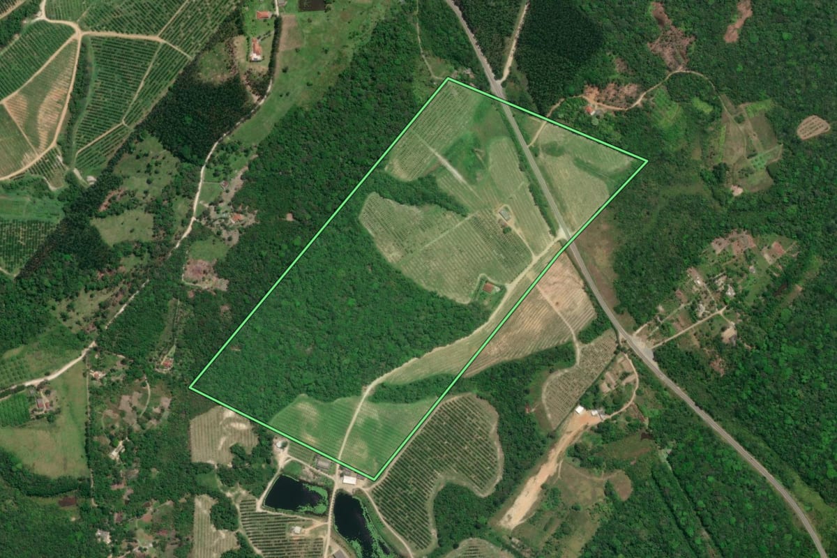 Imagem de satélite do imóvel rural em Pariquera-Açu (SP), com o contorno declarado no CAR desenhado por cima.