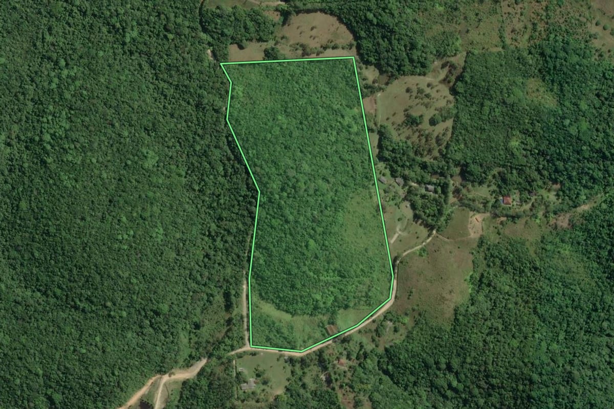 Imagem de satélite do imóvel rural em Pariquera-Açu (SP), com o contorno declarado no CAR desenhado por cima.