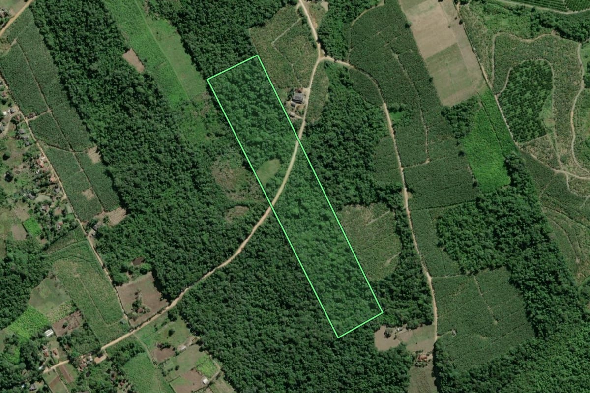 Imagem de satélite do imóvel rural em Pariquera-Açu (SP), com o contorno declarado no CAR desenhado por cima.