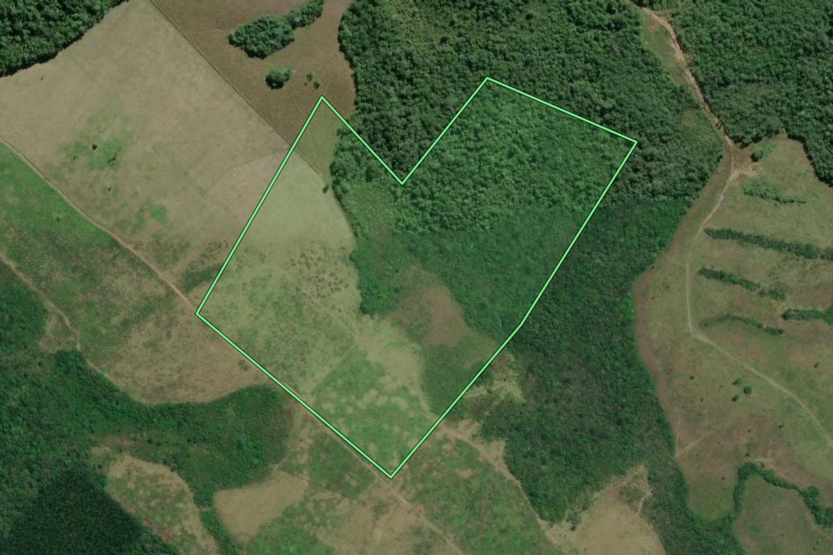 Imagem de satélite do imóvel rural em Pariquera-Açu (SP), com o contorno declarado no CAR desenhado por cima.