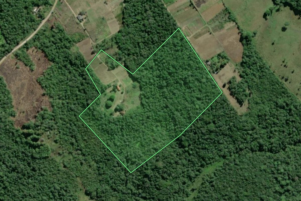 Imagem de satélite do imóvel rural em Pariquera-Açu (SP), com o contorno declarado no CAR desenhado por cima.