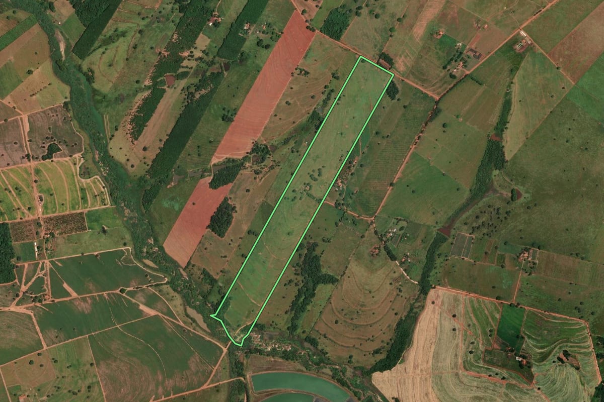 Imagem de satélite do imóvel rural em Parisi (SP), com o contorno declarado no CAR desenhado por cima.