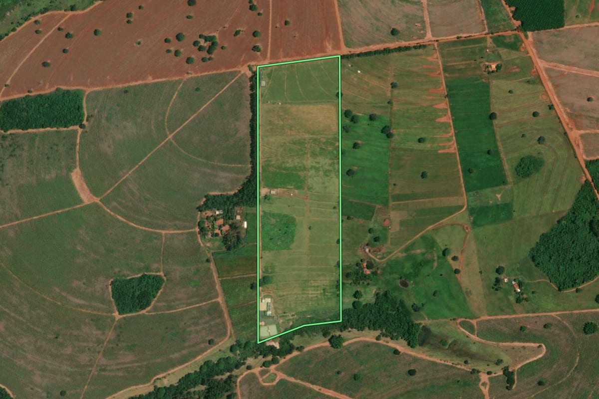 Imagem de satélite do imóvel rural em Parisi (SP), com o contorno declarado no CAR desenhado por cima.