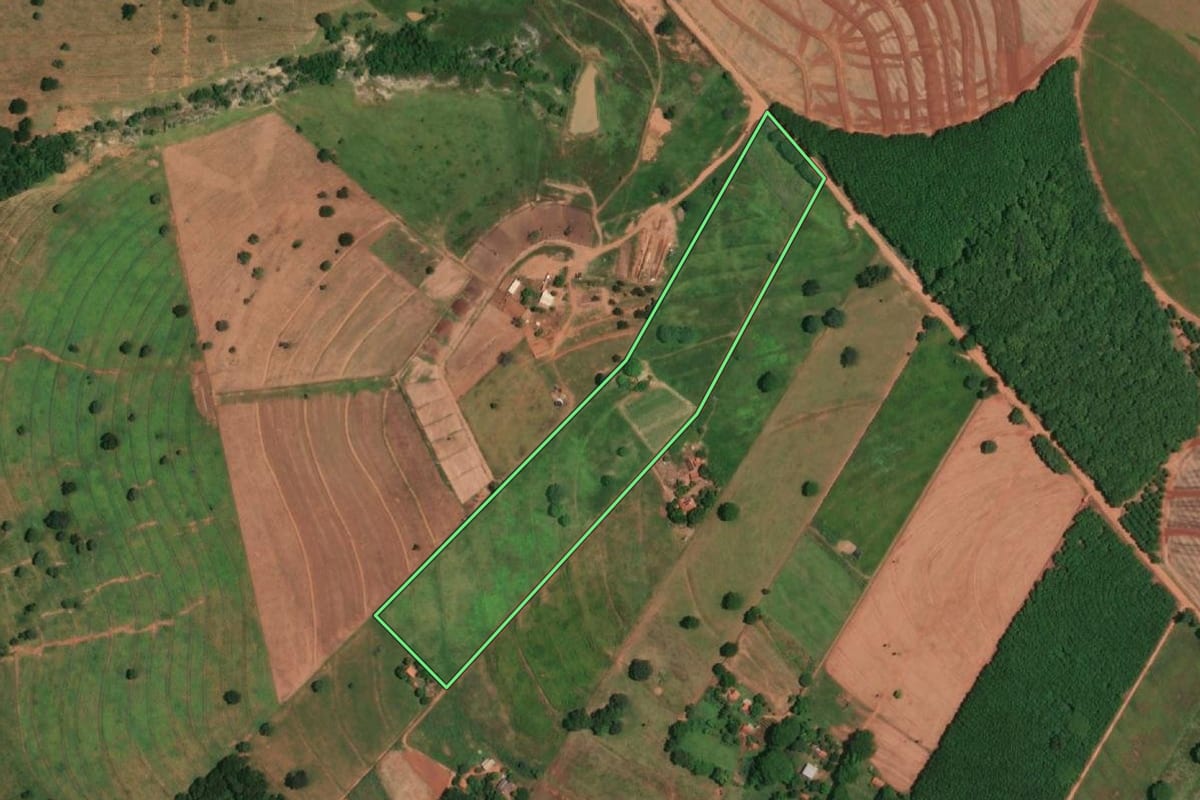 Imagem de satélite do imóvel rural em Parisi (SP), com o contorno declarado no CAR desenhado por cima.
