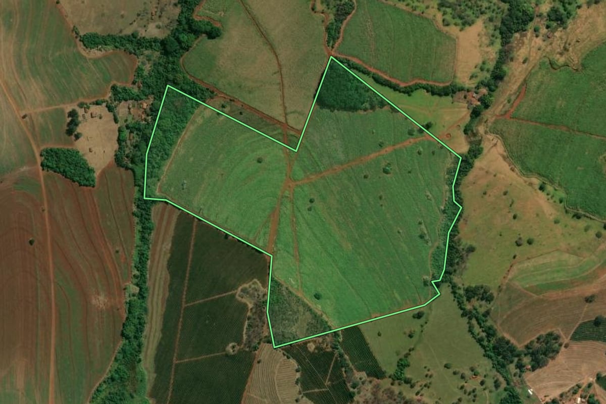 Imagem de satélite do imóvel rural em Patrocínio Paulista (SP), com o contorno declarado no CAR desenhado por cima.