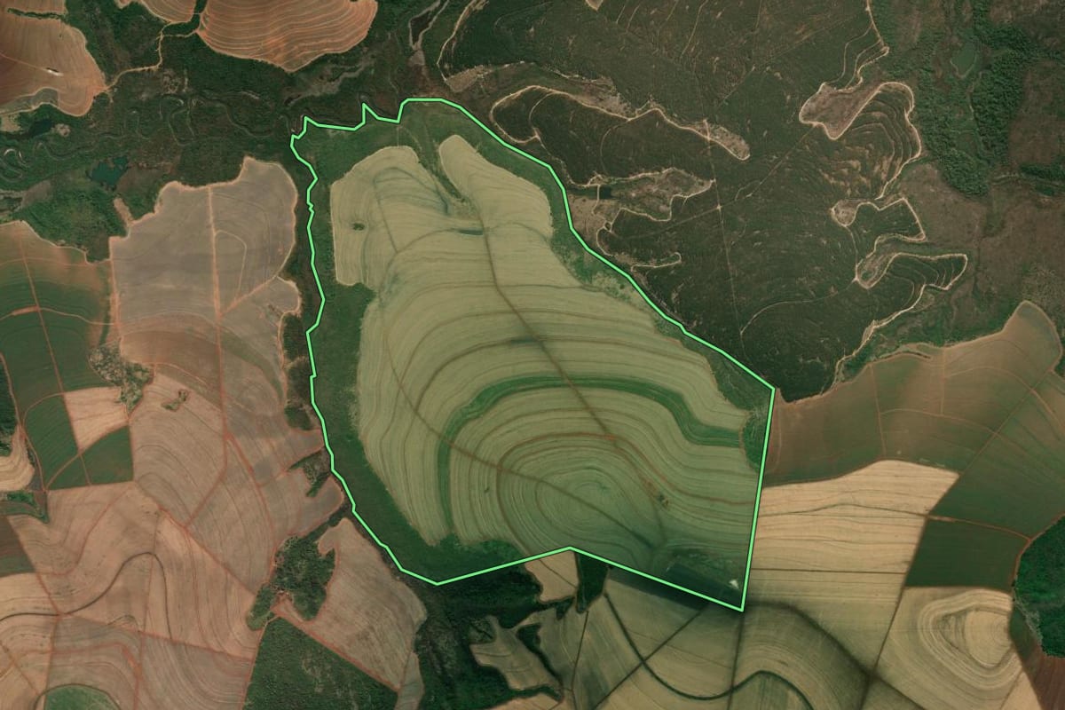 Imagem de satélite do imóvel rural em Patrocínio Paulista (SP), com o contorno declarado no CAR desenhado por cima.