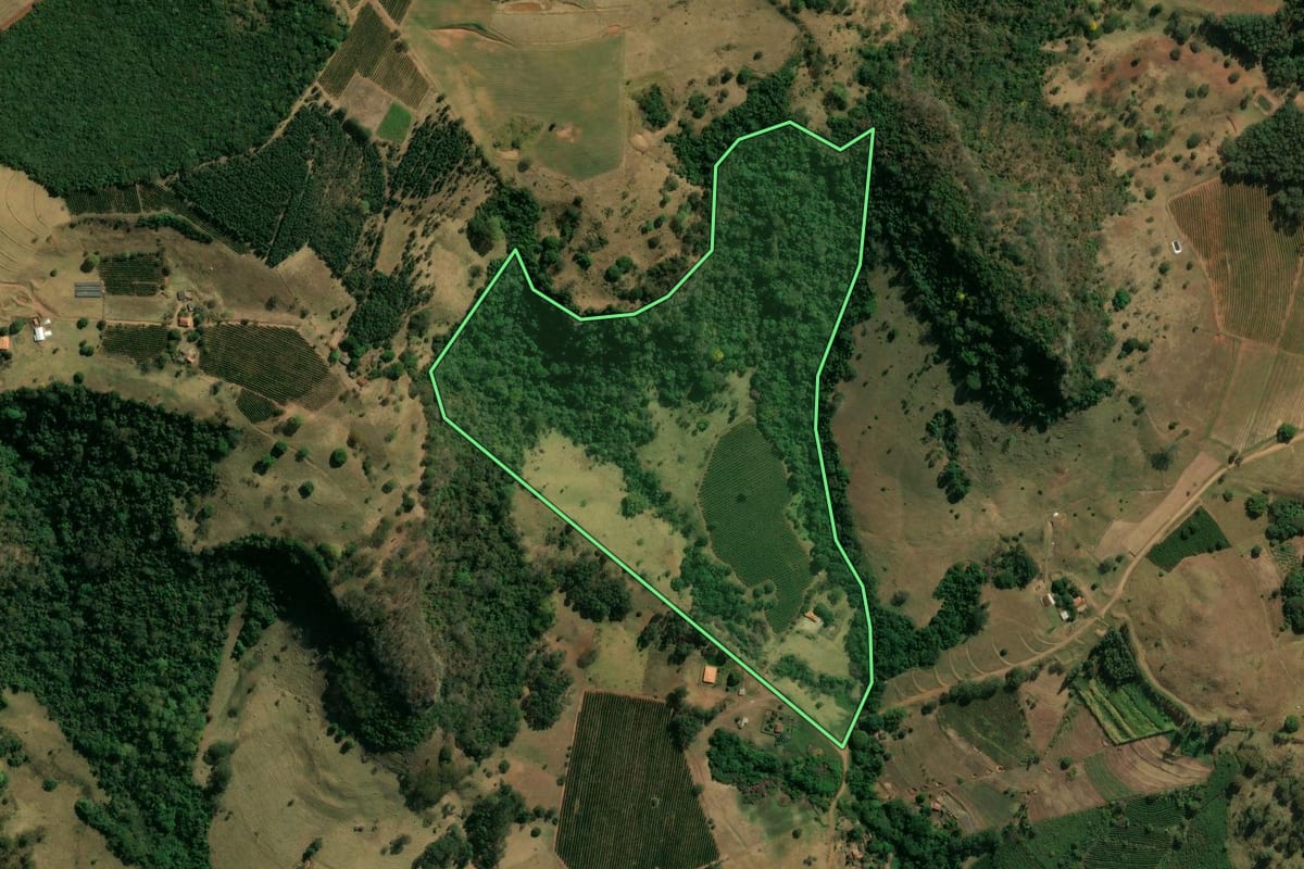 Imagem de satélite do imóvel rural em Patrocínio Paulista (SP), com o contorno declarado no CAR desenhado por cima.