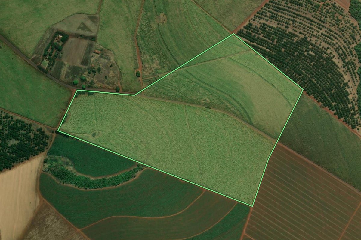 Imagem de satélite do imóvel rural em Patrocínio Paulista (SP), com o contorno declarado no CAR desenhado por cima.