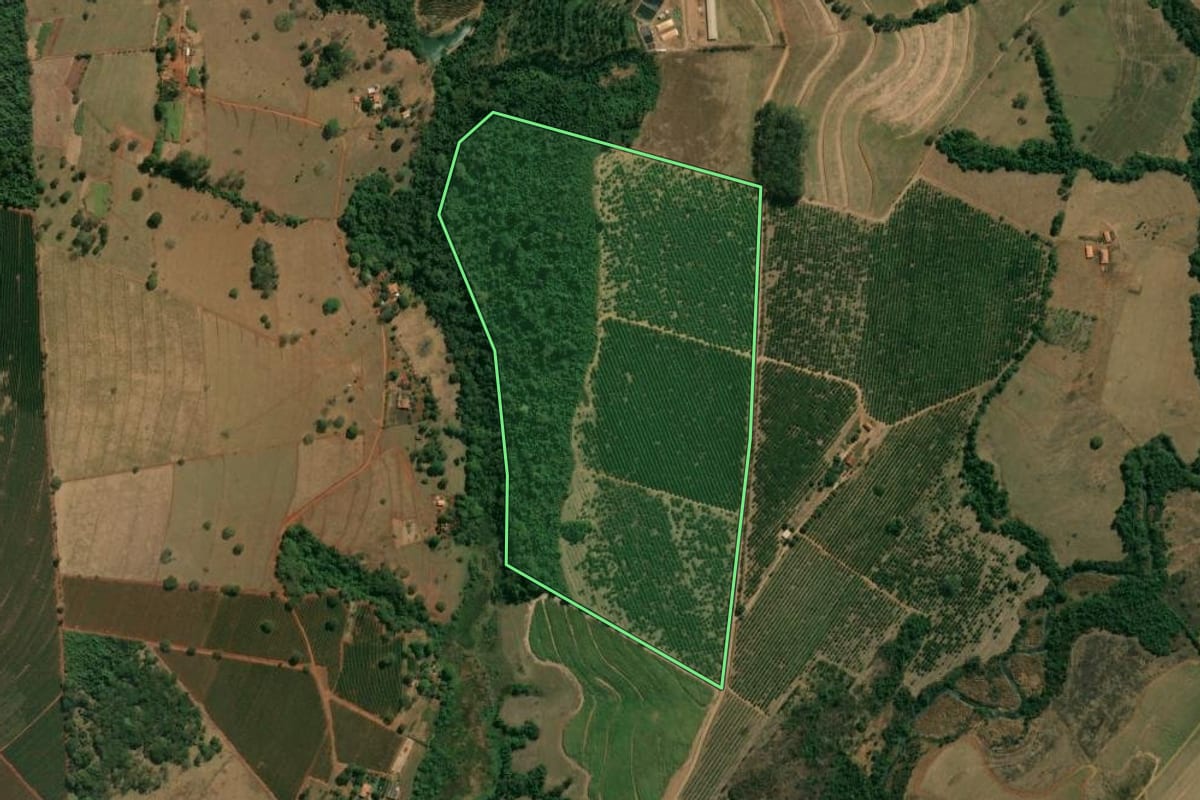 Imagem de satélite do imóvel rural em Patrocínio Paulista (SP), com o contorno declarado no CAR desenhado por cima.