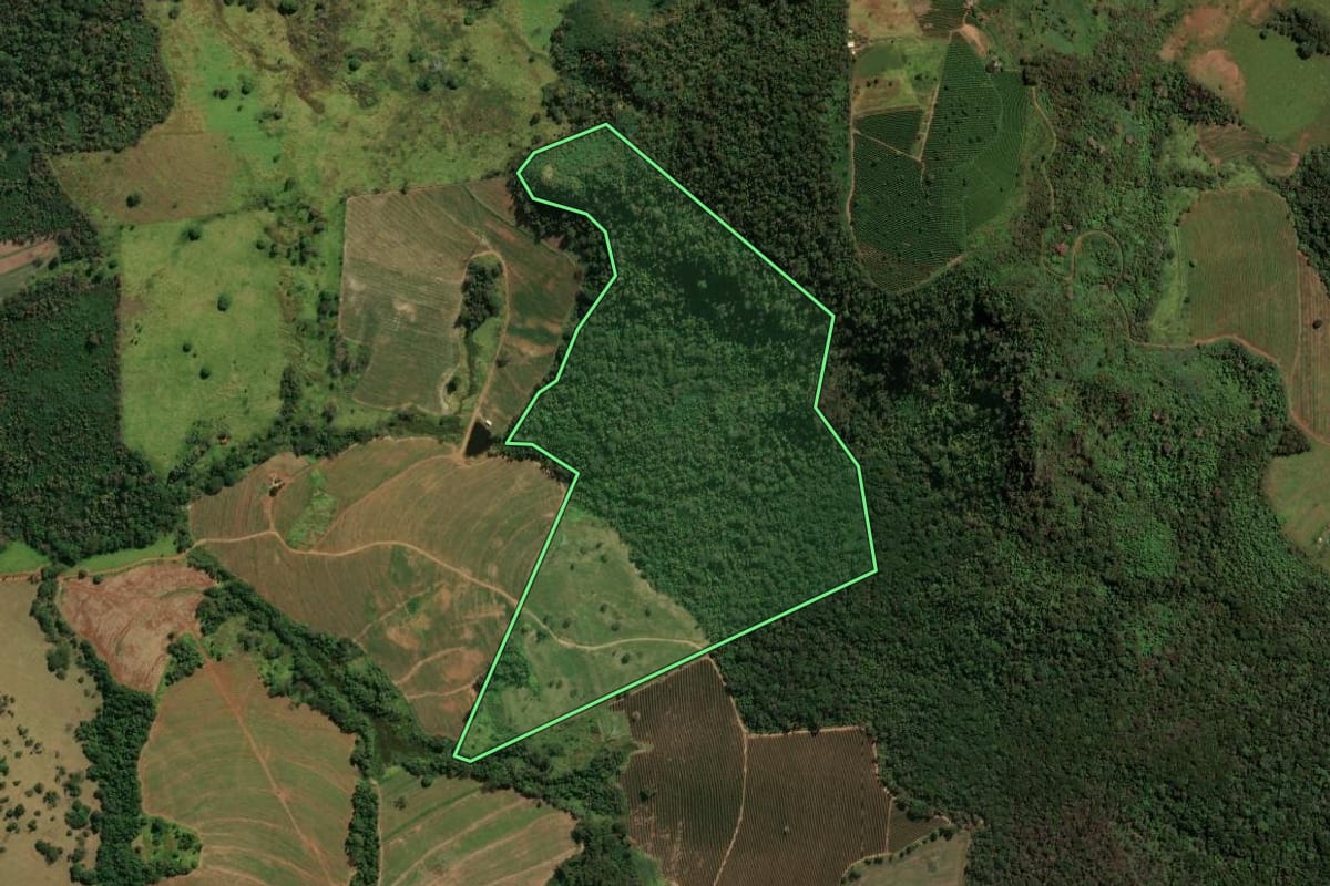 Imagem de satélite do imóvel rural em Patrocínio Paulista (SP), com o contorno declarado no CAR desenhado por cima.