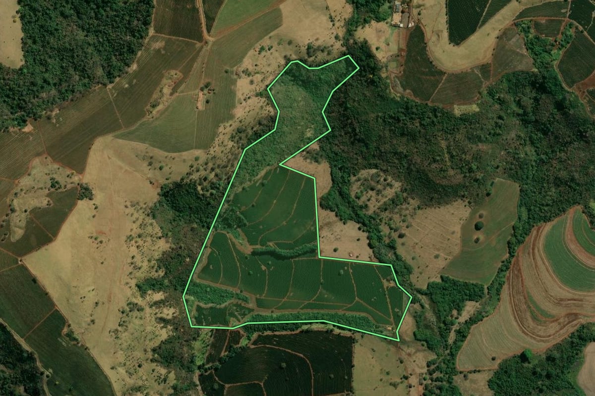 Imagem de satélite do imóvel rural em Patrocínio Paulista (SP), com o contorno declarado no CAR desenhado por cima.