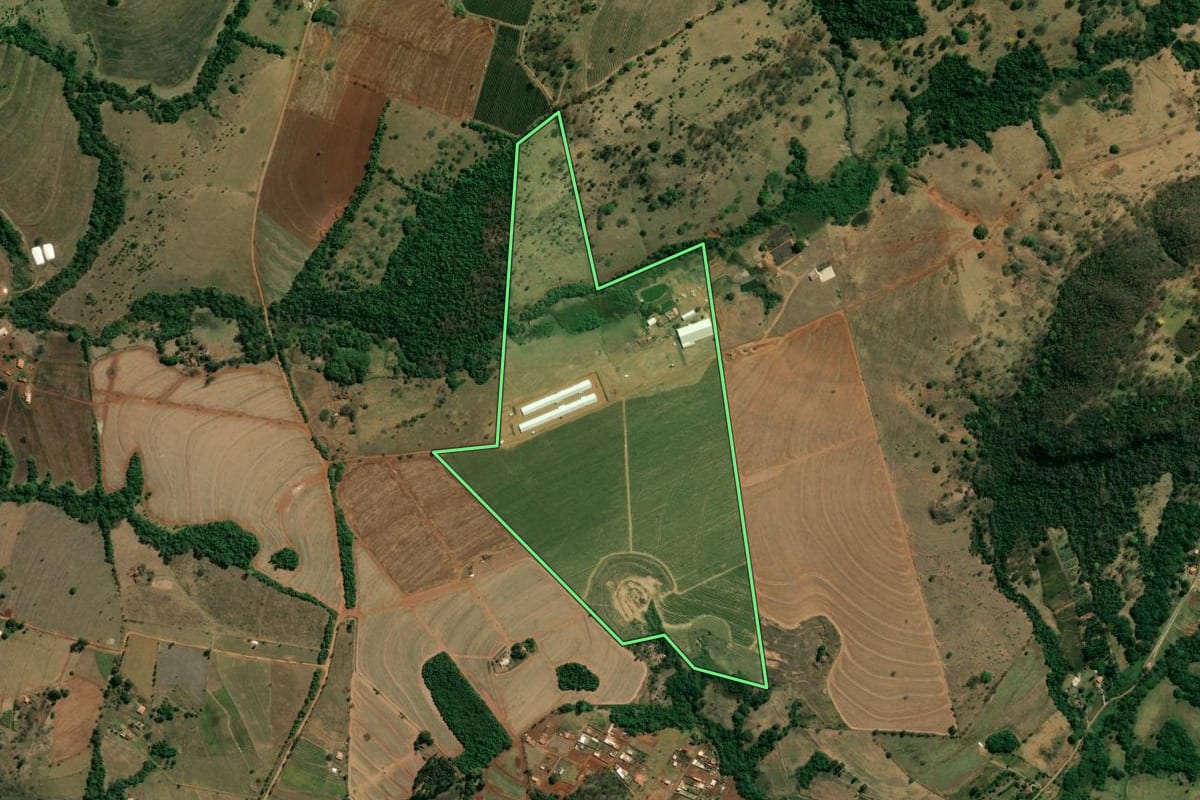 Imagem de satélite do imóvel rural em Patrocínio Paulista (SP), com o contorno declarado no CAR desenhado por cima.
