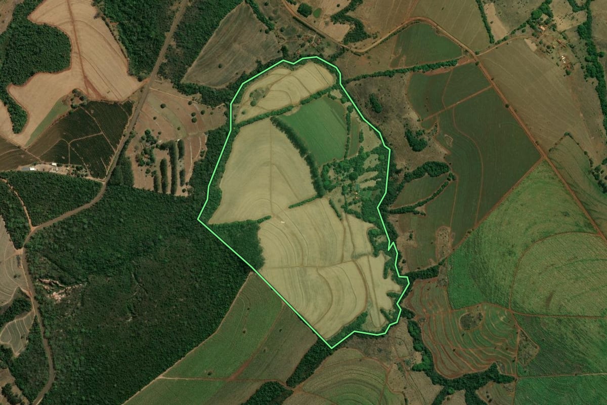 Imagem de satélite do imóvel rural em Patrocínio Paulista (SP), com o contorno declarado no CAR desenhado por cima.