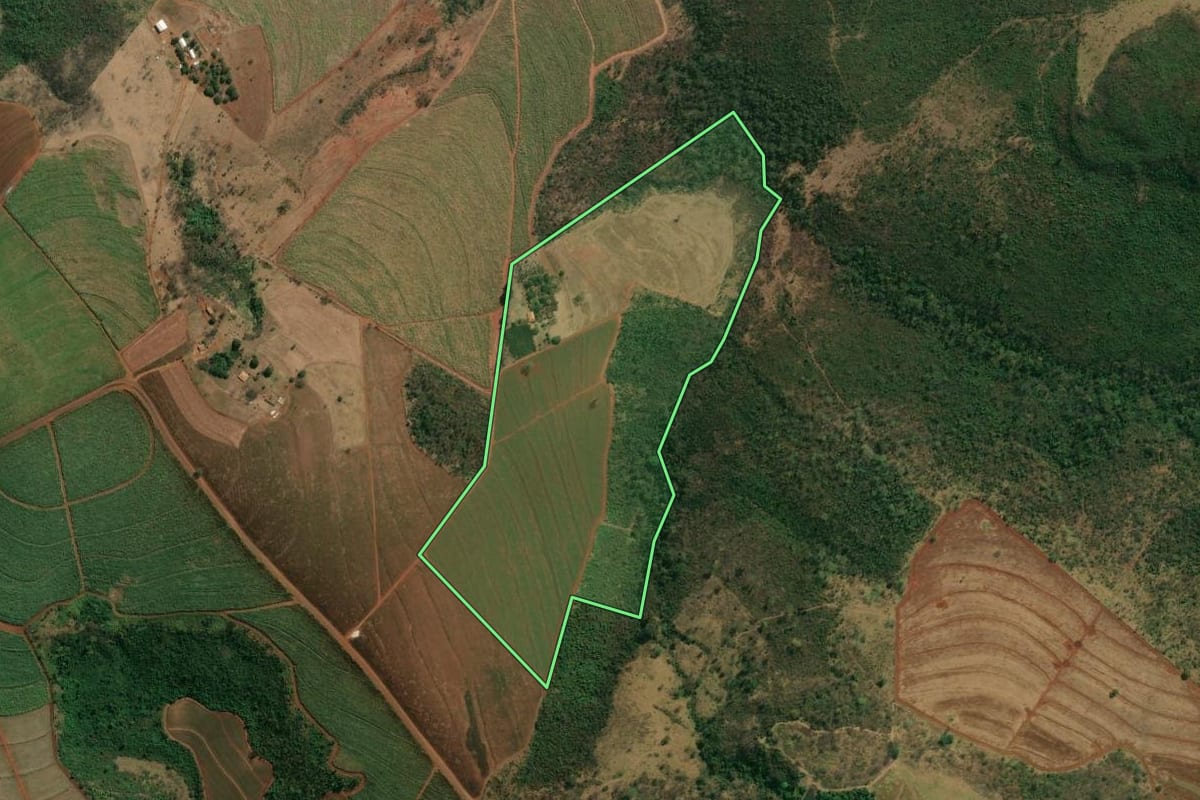 Imagem de satélite do imóvel rural em Patrocínio Paulista (SP), com o contorno declarado no CAR desenhado por cima.