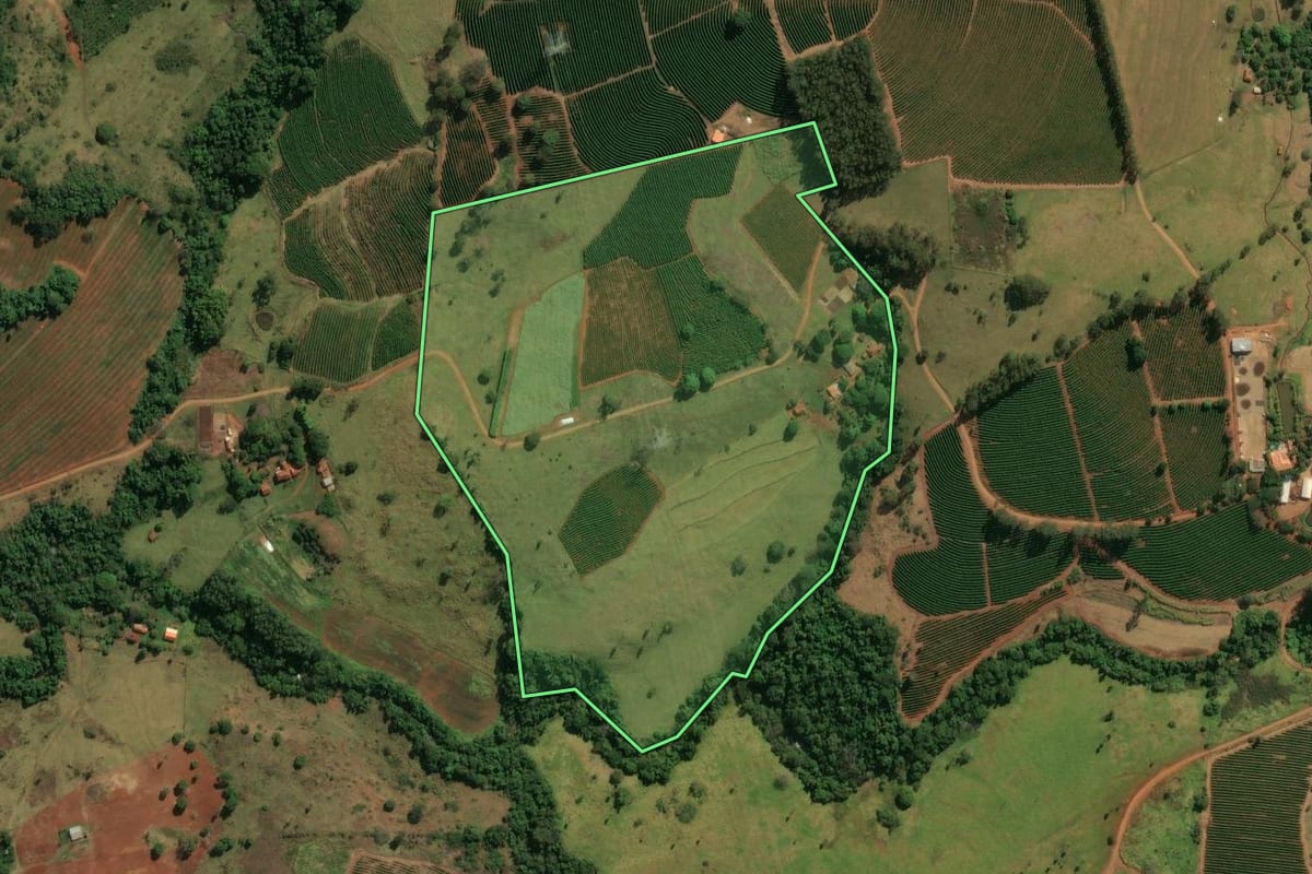 Imagem de satélite do imóvel rural em Patrocínio Paulista (SP), com o contorno declarado no CAR desenhado por cima.