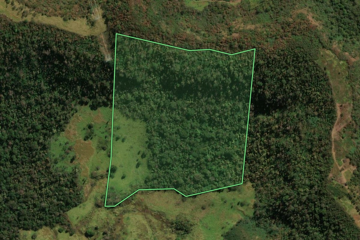 Imagem de satélite do imóvel rural em Patrocínio Paulista (SP), com o contorno declarado no CAR desenhado por cima.