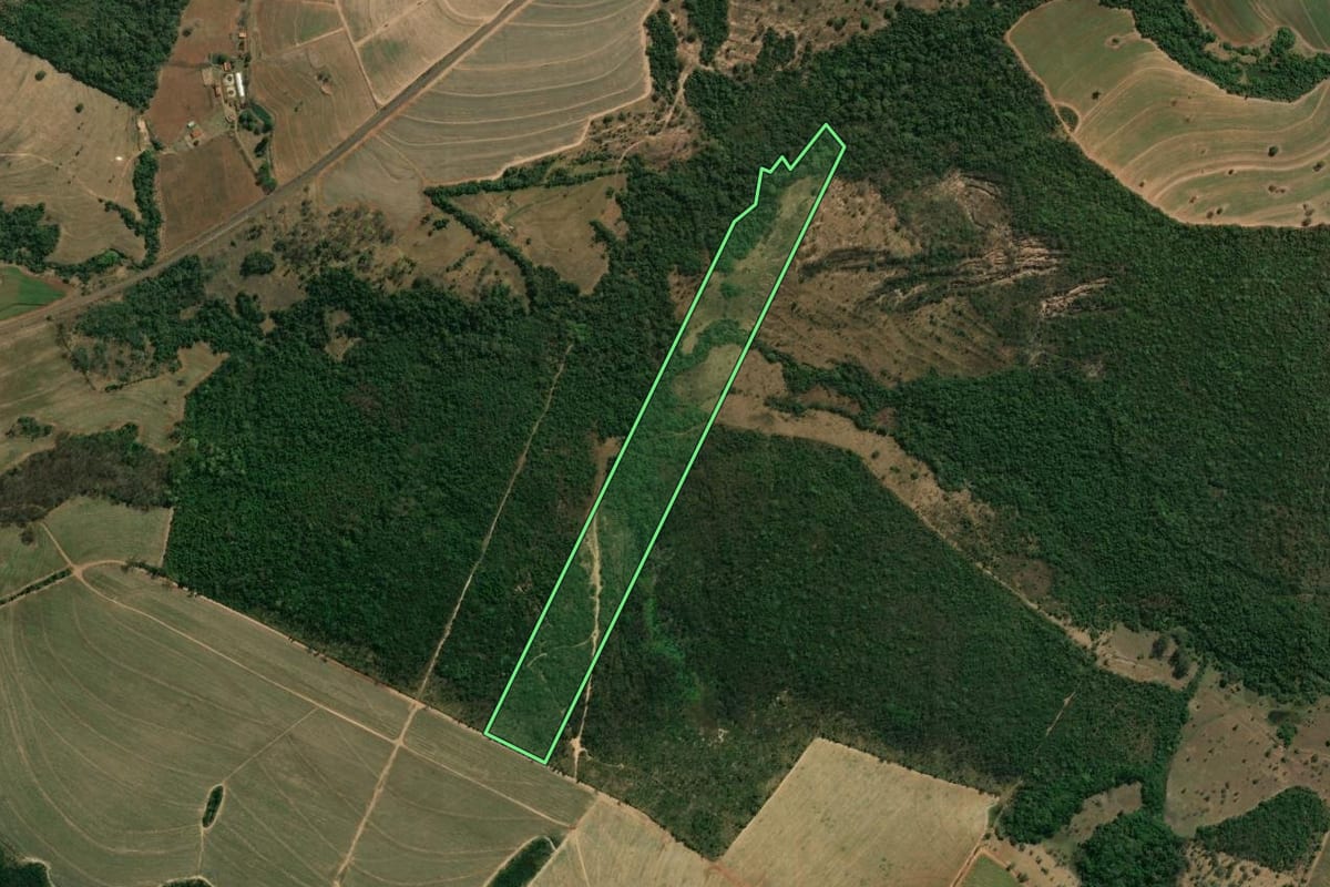 Imagem de satélite do imóvel rural em Patrocínio Paulista (SP), com o contorno declarado no CAR desenhado por cima.
