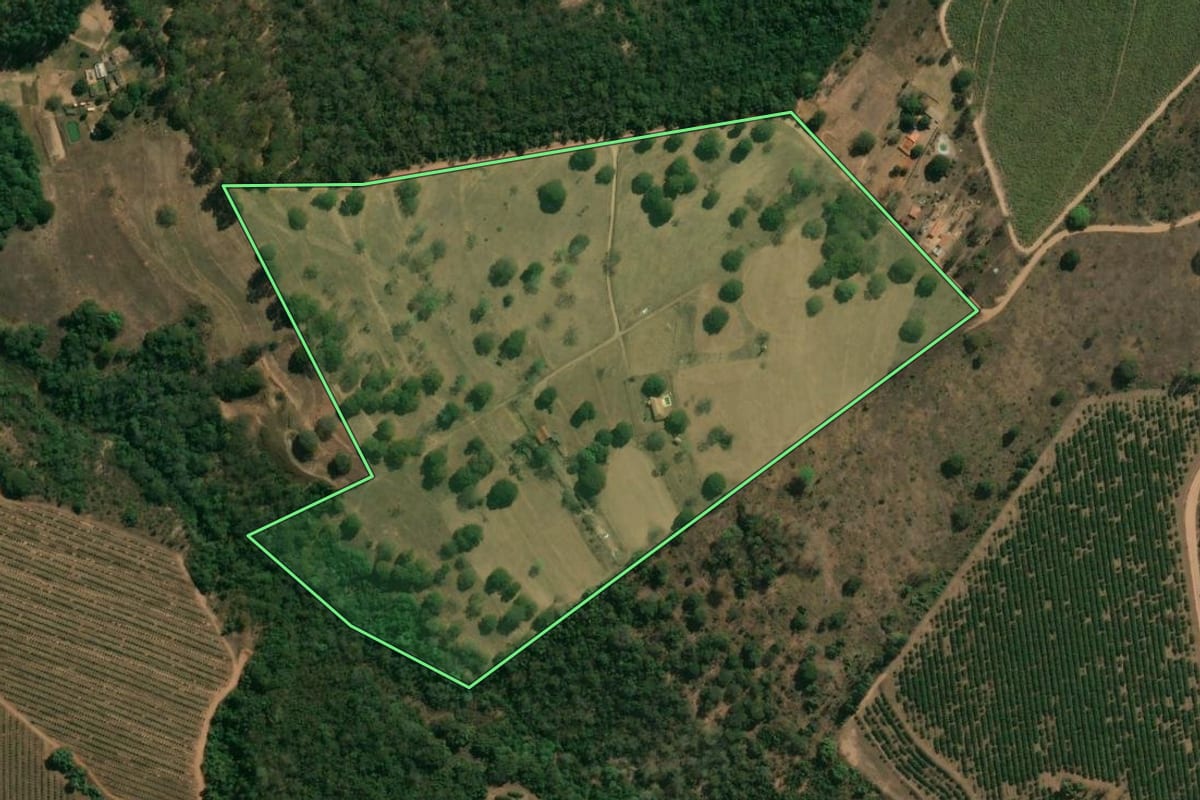 Imagem de satélite do imóvel rural em Patrocínio Paulista (SP), com o contorno declarado no CAR desenhado por cima.