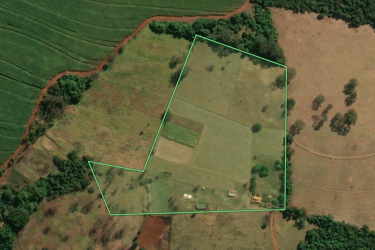 Imagem de satélite do imóvel rural em Patrocínio Paulista (SP), com o contorno declarado no CAR desenhado por cima.