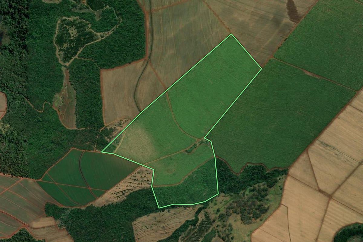 Imagem de satélite do imóvel rural em Patrocínio Paulista (SP), com o contorno declarado no CAR desenhado por cima.
