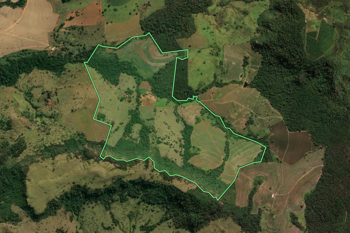 Imagem de satélite do imóvel rural em Patrocínio Paulista (SP), com o contorno declarado no CAR desenhado por cima.