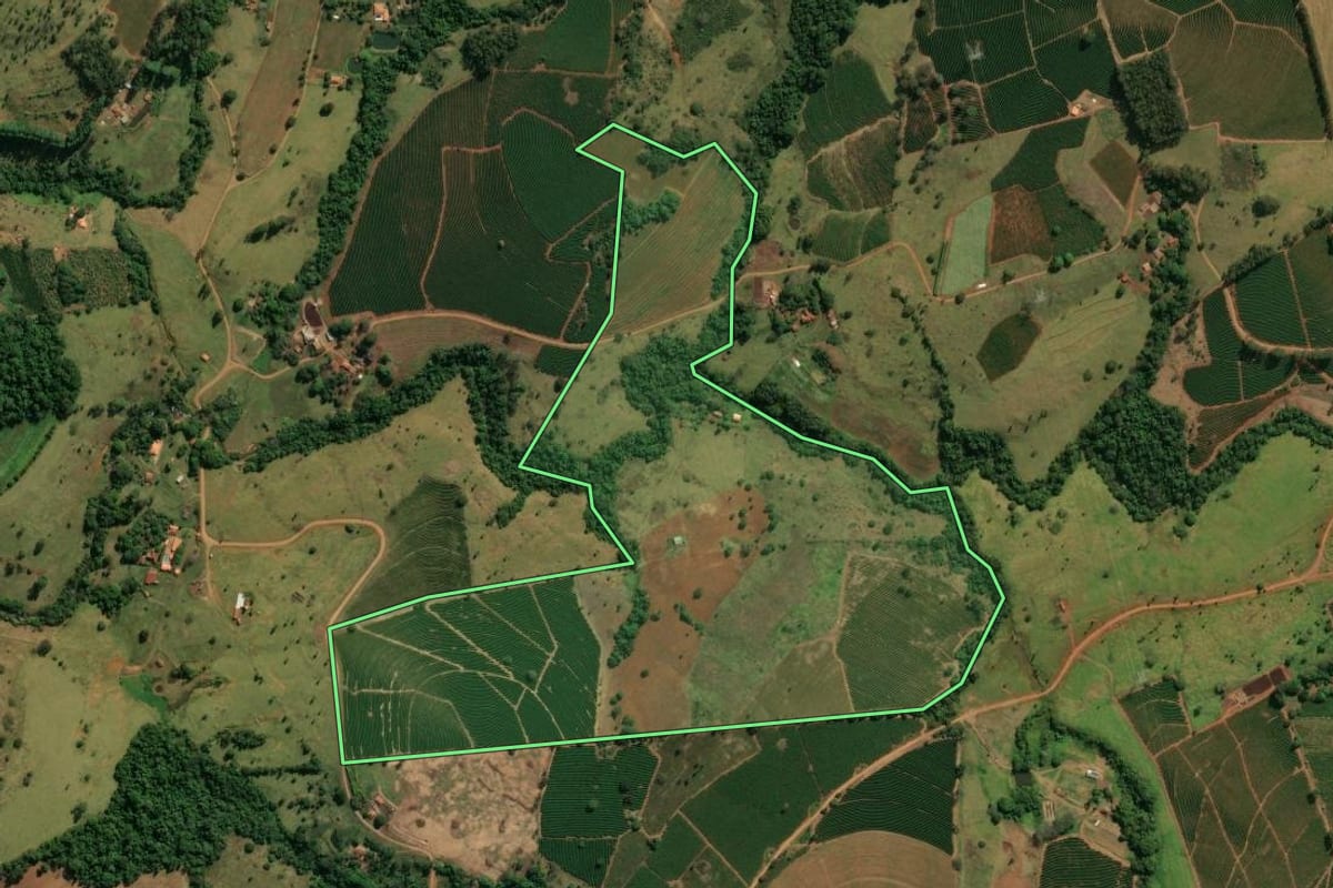 Imagem de satélite do imóvel rural em Patrocínio Paulista (SP), com o contorno declarado no CAR desenhado por cima.