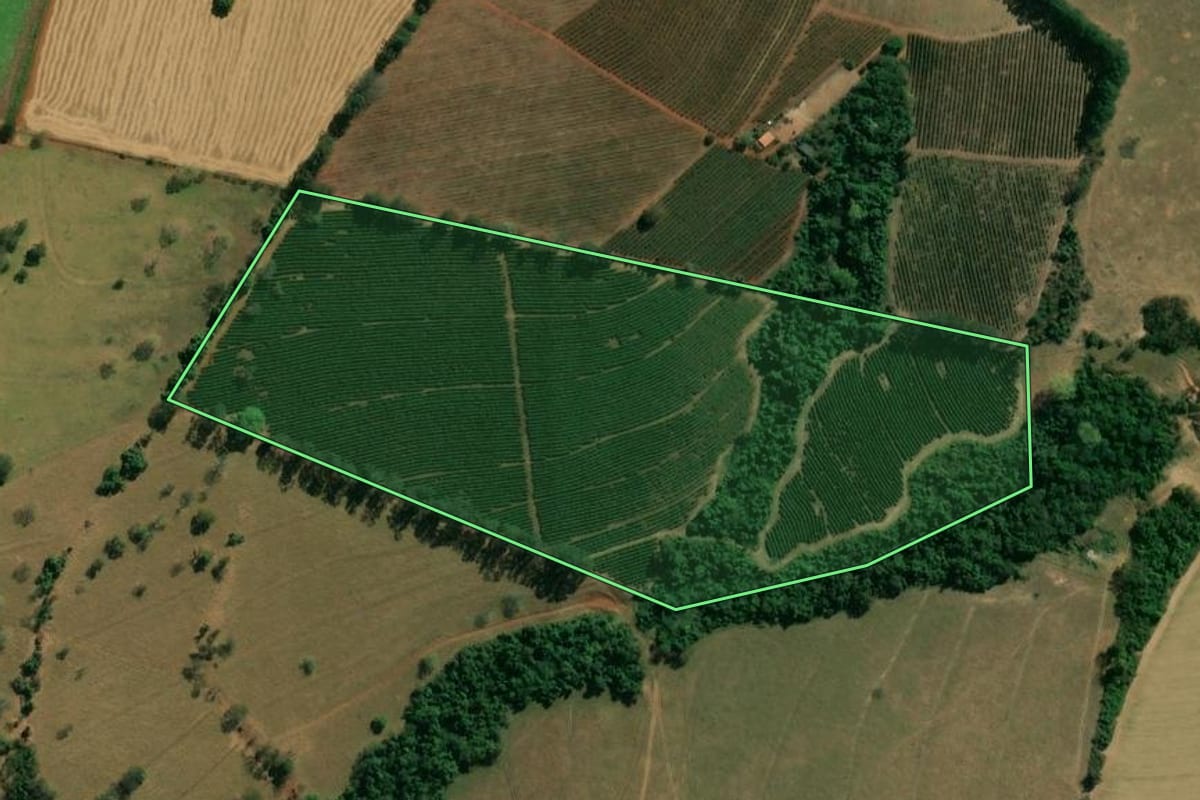 Imagem de satélite do imóvel rural em Patrocínio Paulista (SP), com o contorno declarado no CAR desenhado por cima.