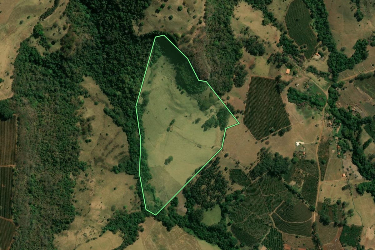 Imagem de satélite do imóvel rural em Patrocínio Paulista (SP), com o contorno declarado no CAR desenhado por cima.