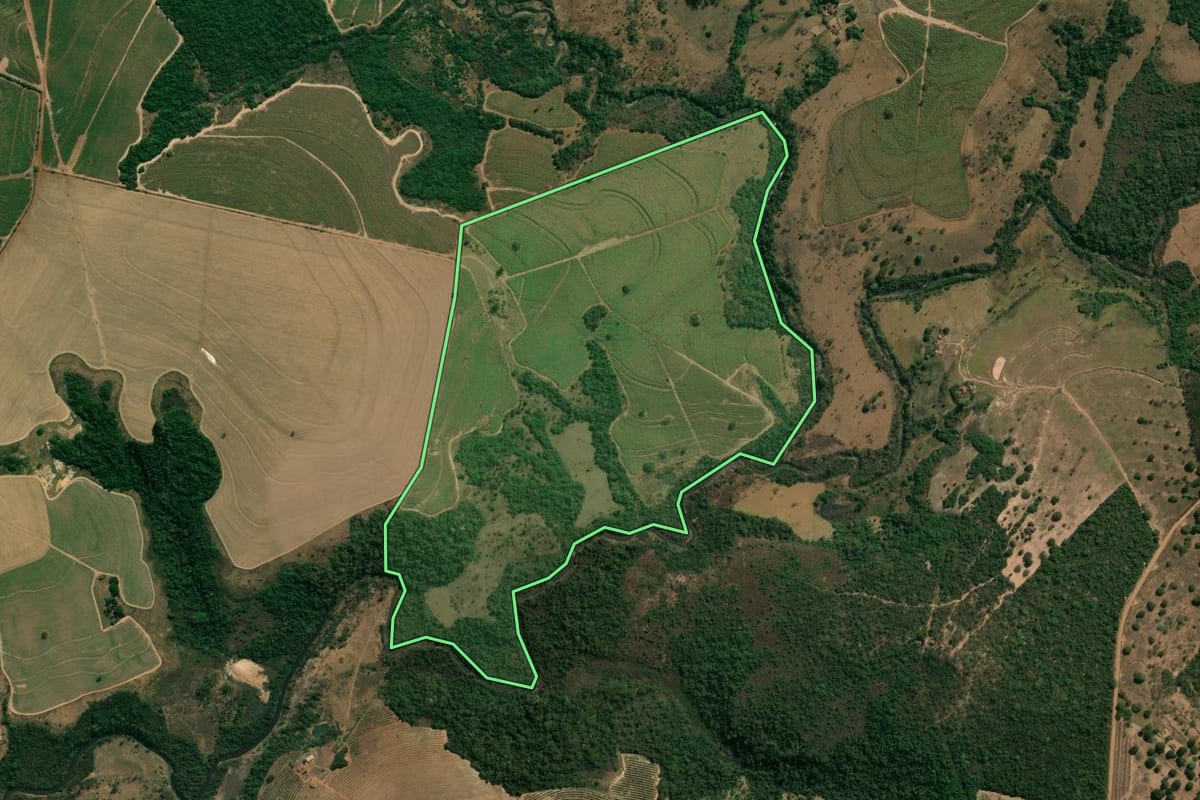 Imagem de satélite do imóvel rural em Patrocínio Paulista (SP), com o contorno declarado no CAR desenhado por cima.