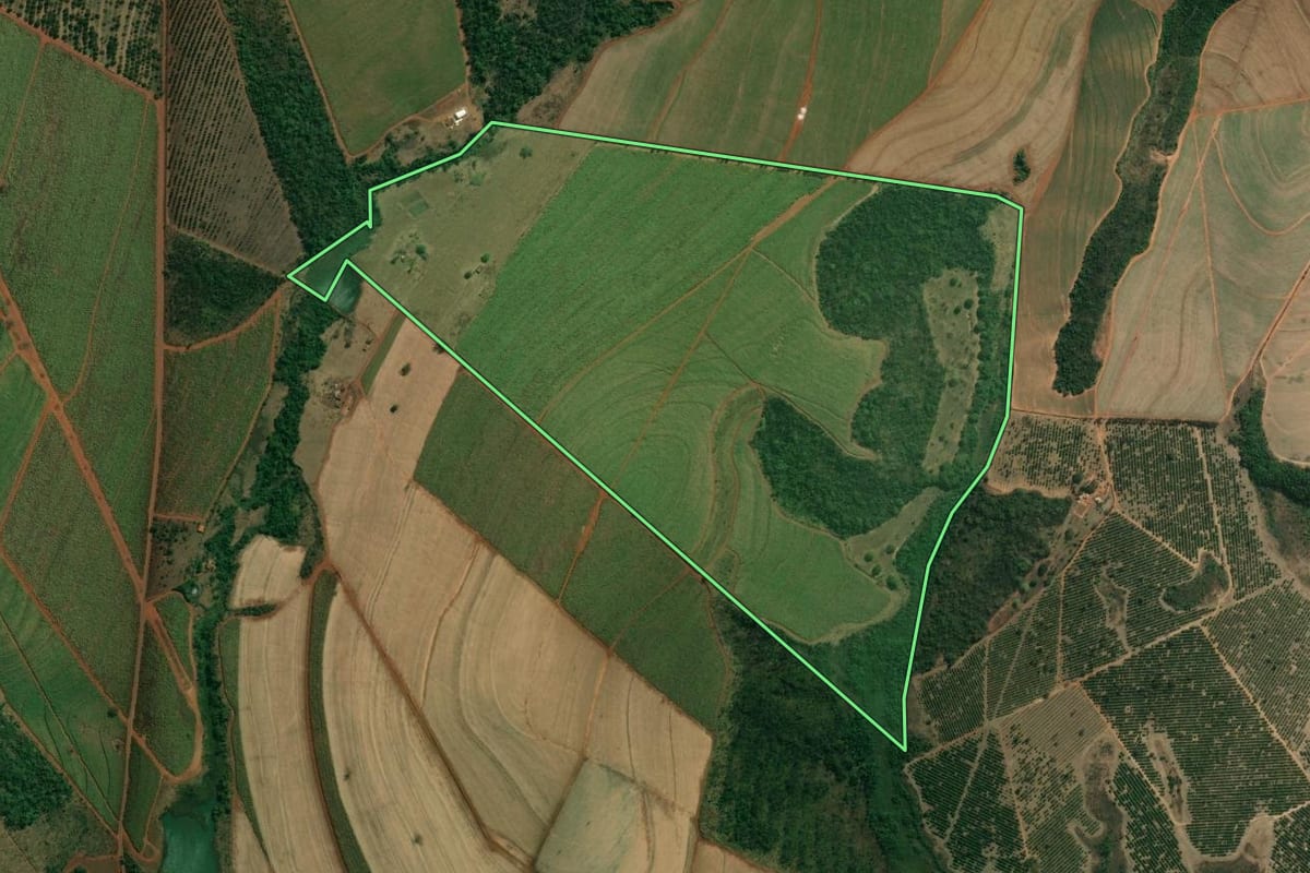 Imagem de satélite do imóvel rural em Patrocínio Paulista (SP), com o contorno declarado no CAR desenhado por cima.
