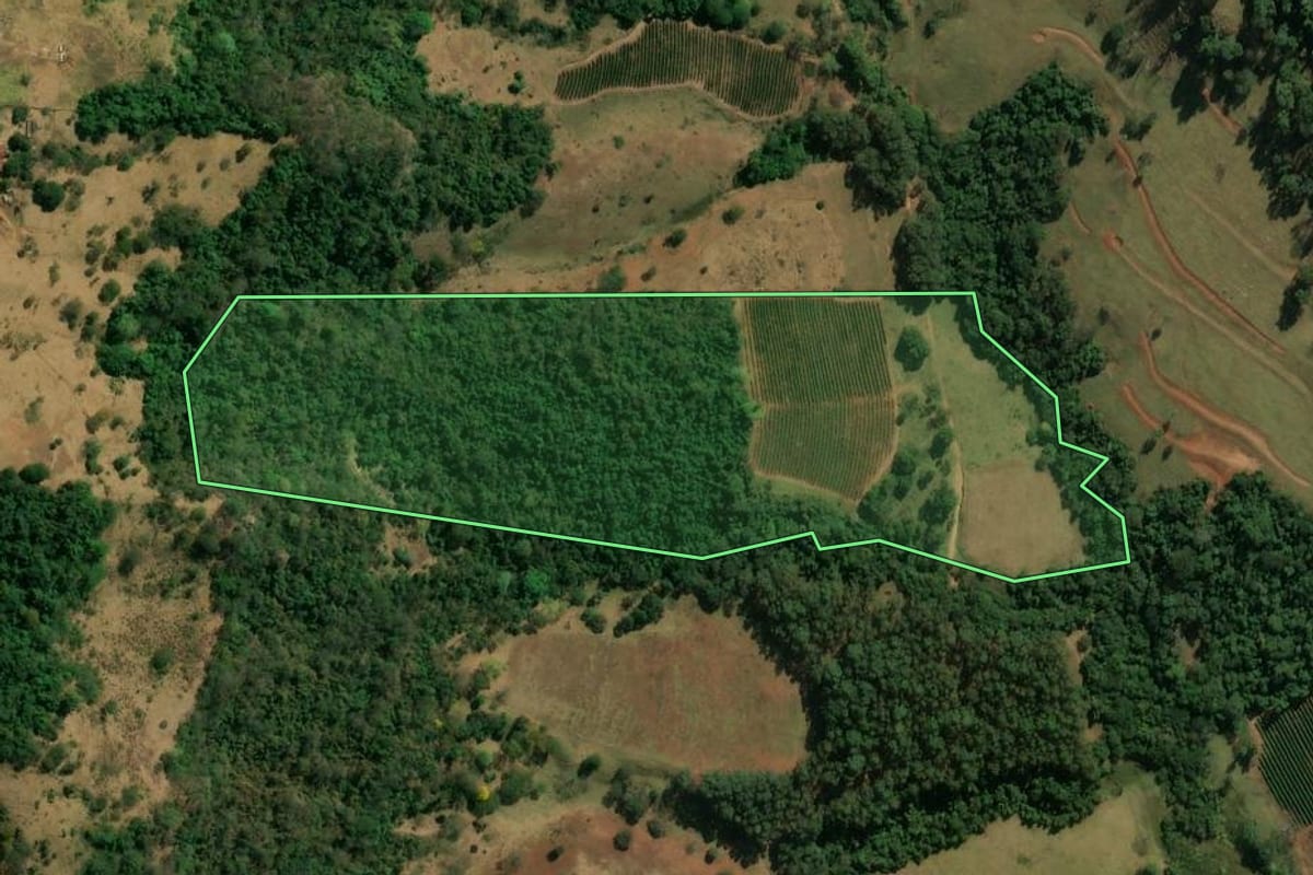 Imagem de satélite do imóvel rural em Patrocínio Paulista (SP), com o contorno declarado no CAR desenhado por cima.