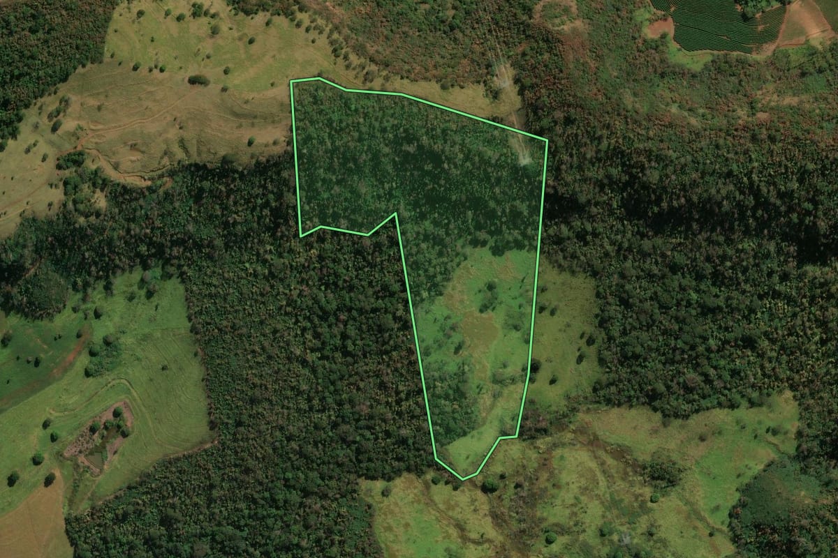 Imagem de satélite do imóvel rural em Patrocínio Paulista (SP), com o contorno declarado no CAR desenhado por cima.