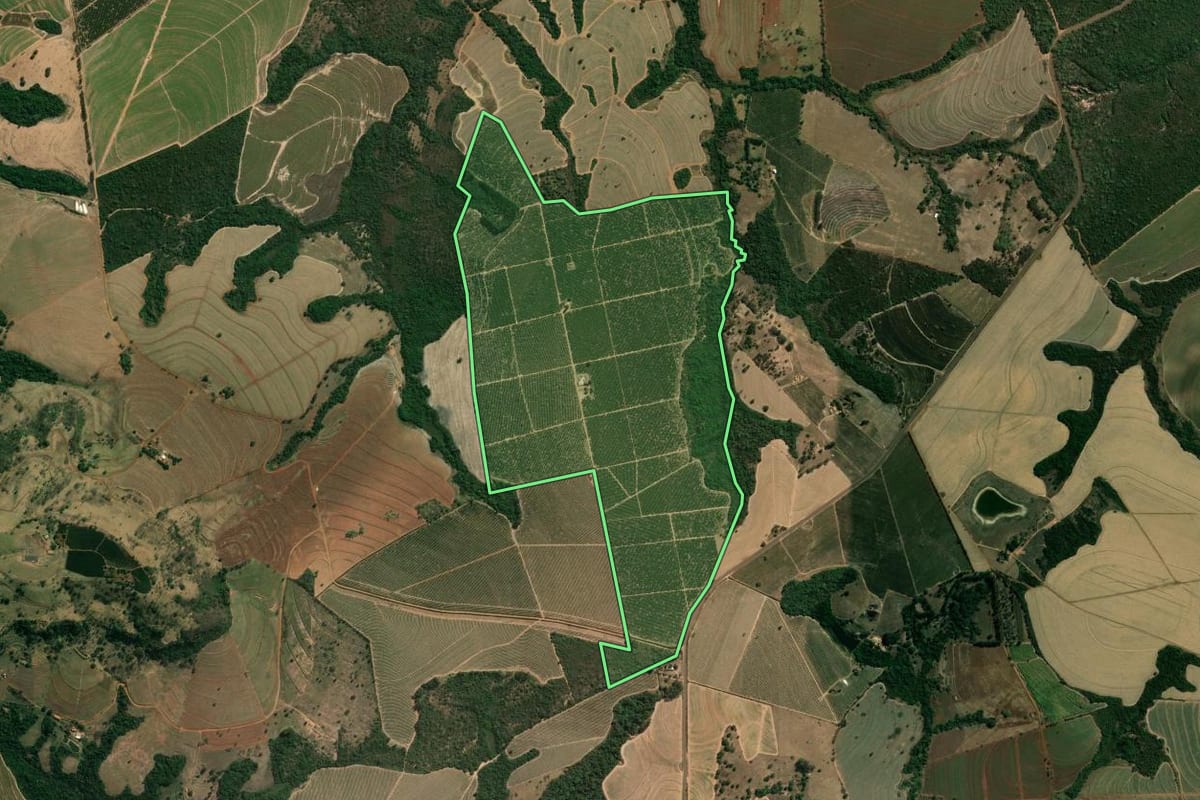 Imagem de satélite do imóvel rural em Patrocínio Paulista (SP), com o contorno declarado no CAR desenhado por cima.