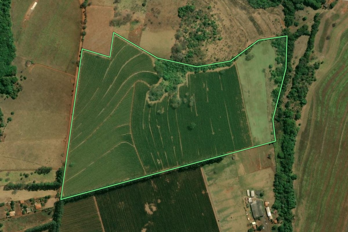 Imagem de satélite do imóvel rural em Patrocínio Paulista (SP), com o contorno declarado no CAR desenhado por cima.