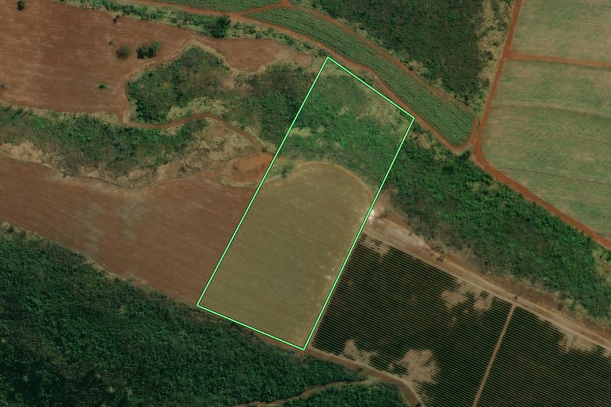 Imagem de satélite do imóvel rural em Patrocínio Paulista (SP), com o contorno declarado no CAR desenhado por cima.