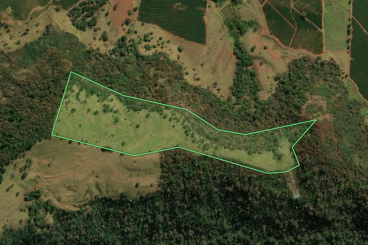 Imagem de satélite do imóvel rural em Patrocínio Paulista (SP), com o contorno declarado no CAR desenhado por cima.