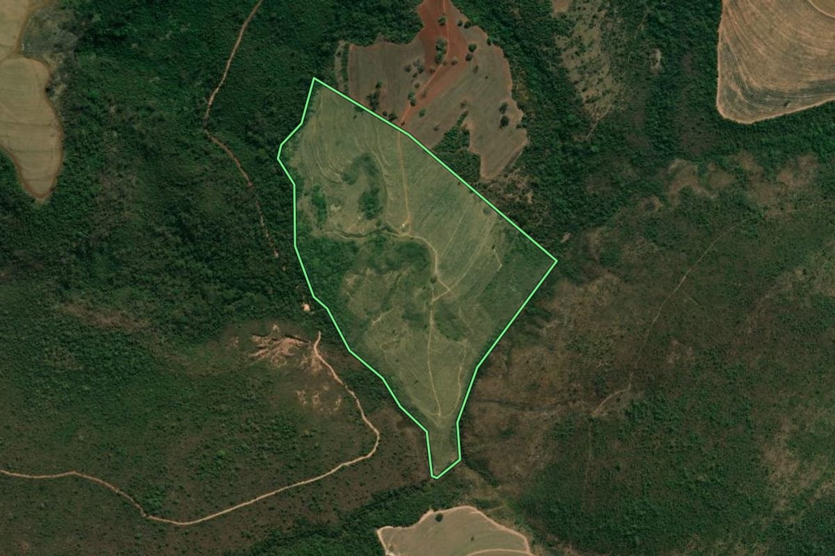 Imagem de satélite do imóvel rural em Patrocínio Paulista (SP), com o contorno declarado no CAR desenhado por cima.