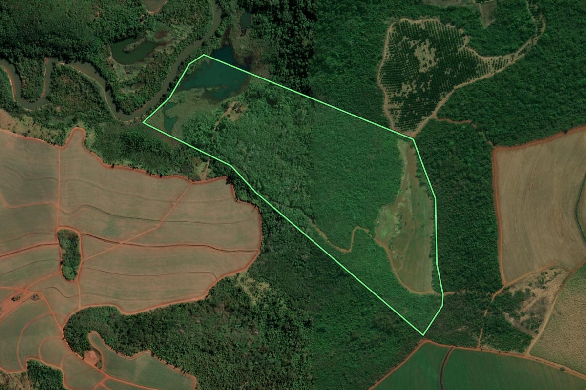 Imagem de satélite do imóvel rural em Patrocínio Paulista (SP), com o contorno declarado no CAR desenhado por cima.
