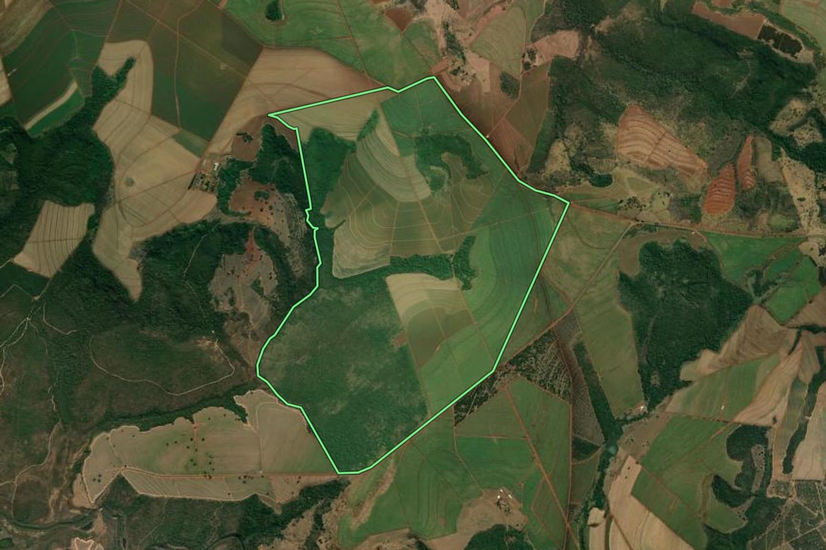 Imagem de satélite do imóvel rural em Patrocínio Paulista (SP), com o contorno declarado no CAR desenhado por cima.