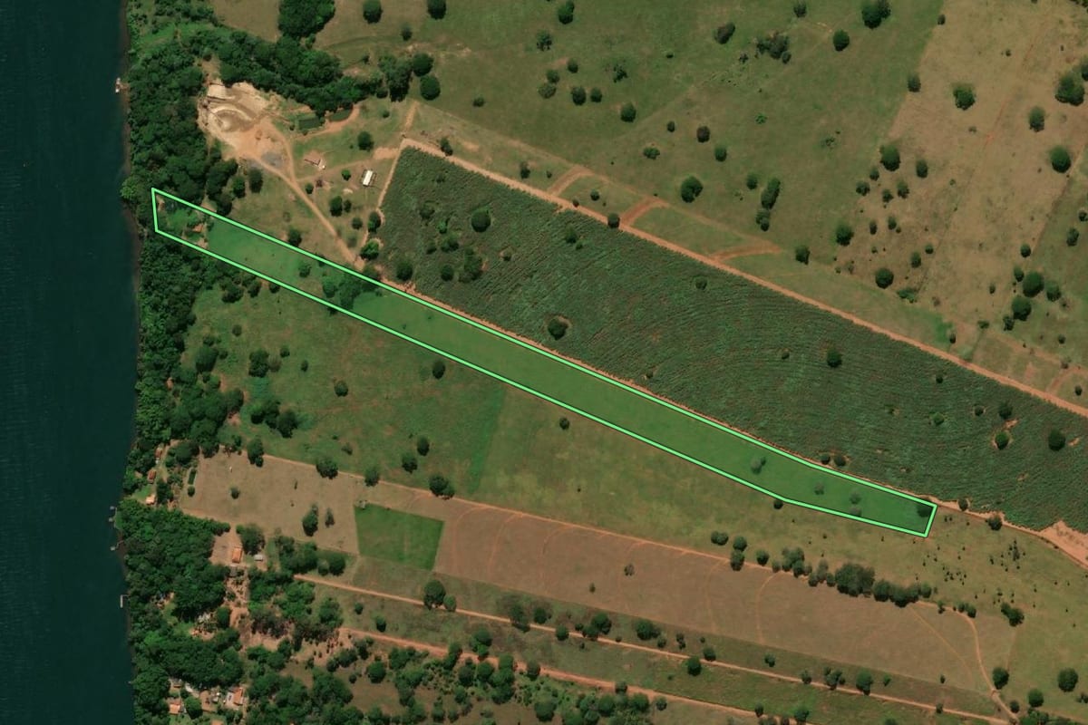 Imagem de satélite do imóvel rural em Paulicéia (SP), com o contorno declarado no CAR desenhado por cima.